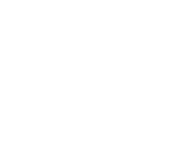 COVID-19 e Modelagem Numérica